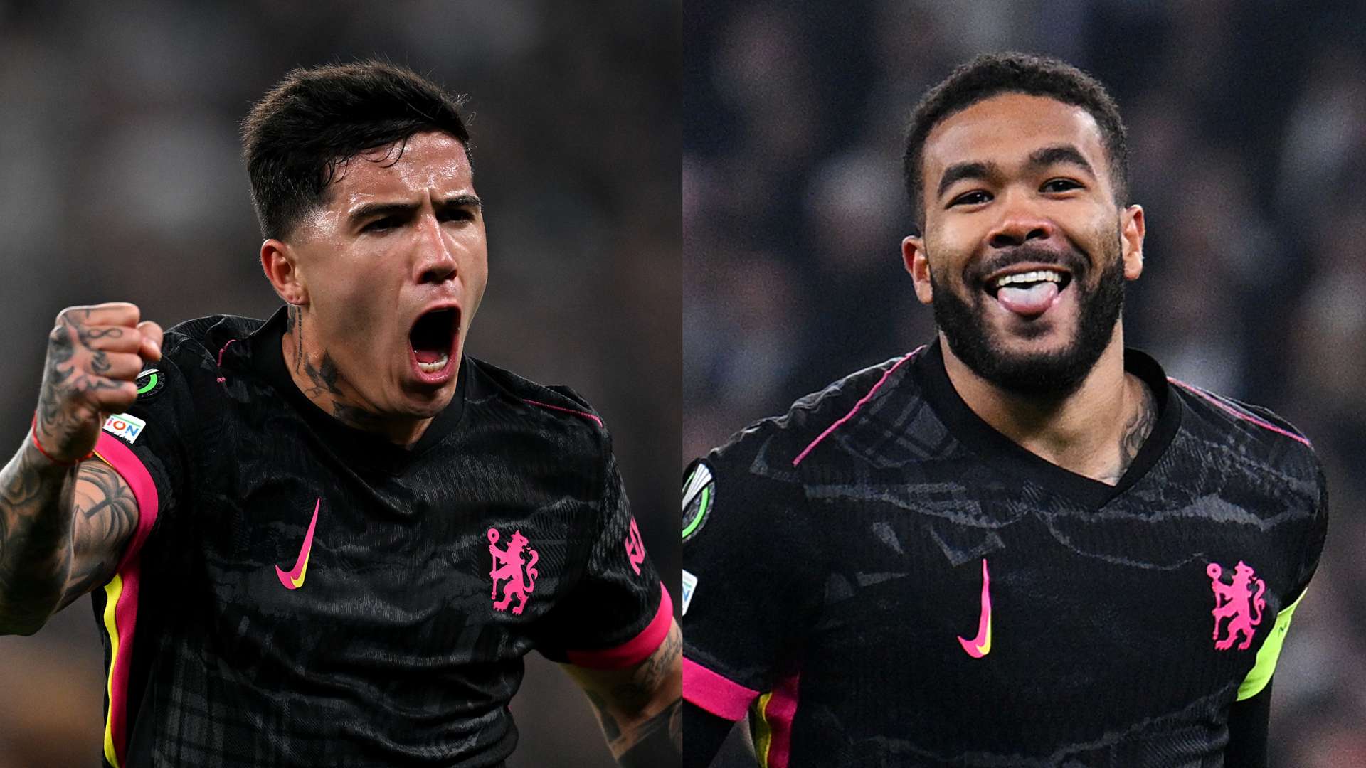 答案或许将 答案或许将