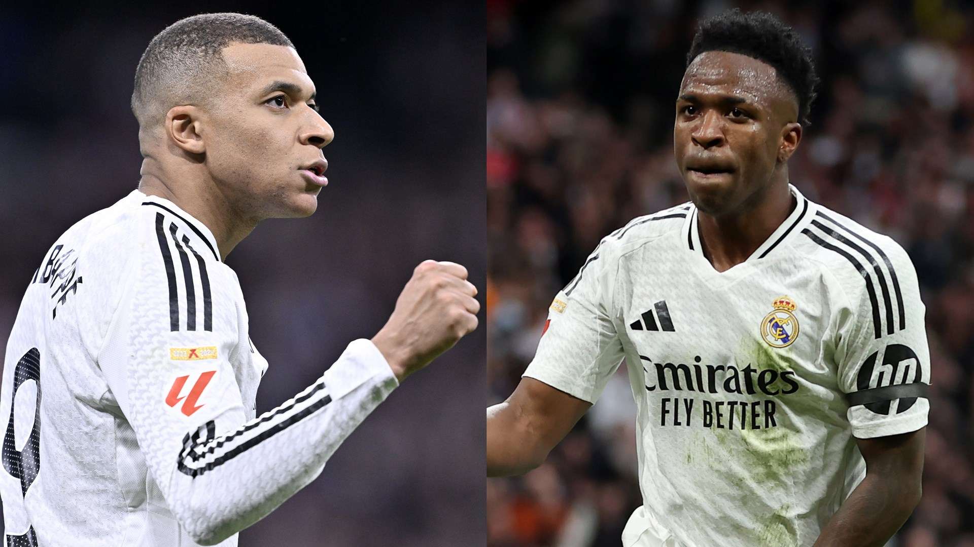 增添了新鲜 增添了新鲜